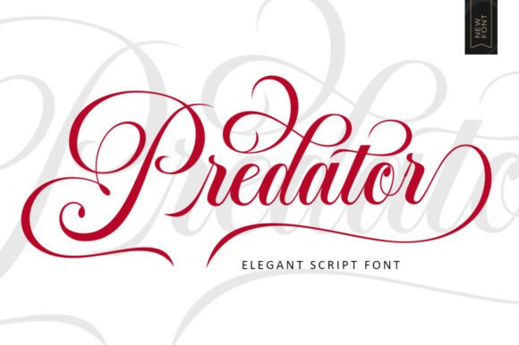 Mastering Elegance: The Predator Script Font