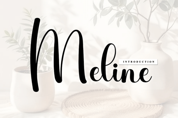 Meline: The Artisanal Script Font for Elegant Branding